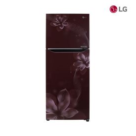 LG Double Door Refrigerator 258 Ltrs GLK272SPTL.ARGQ