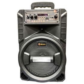 Sensei 8 Inch Trolley Speaker STS08H1